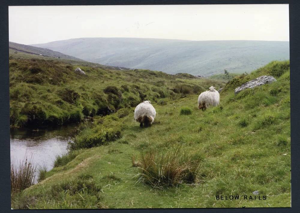 An image from the Dartmoor Trust Archive