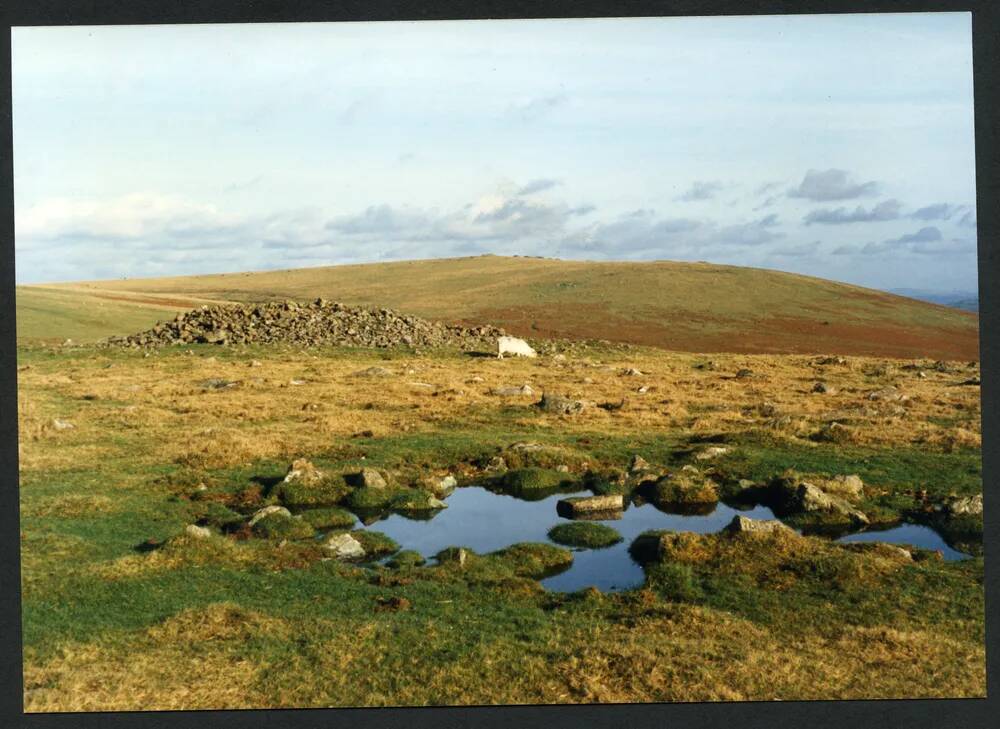 An image from the Dartmoor Trust Archive