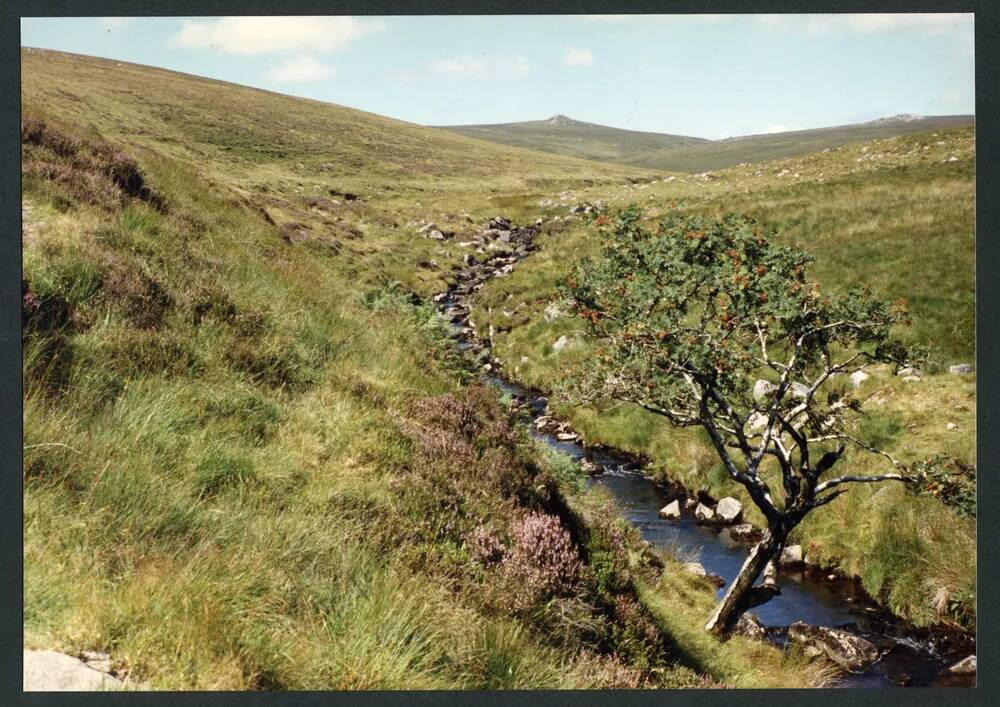 An image from the Dartmoor Trust Archive