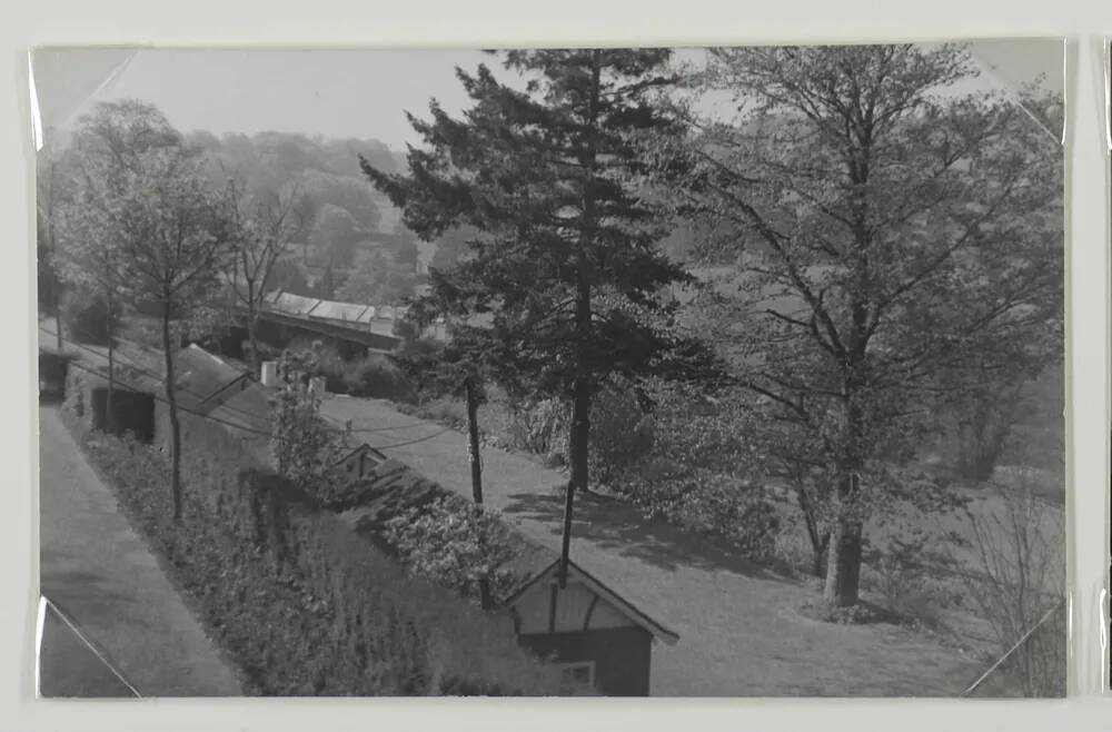 Garden in Dawlish