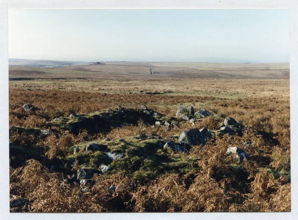 An image from the Dartmoor Trust Archive