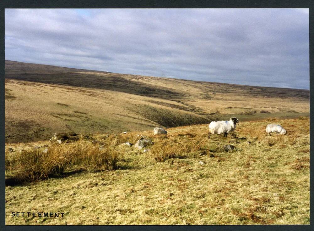 An image from the Dartmoor Trust Archive