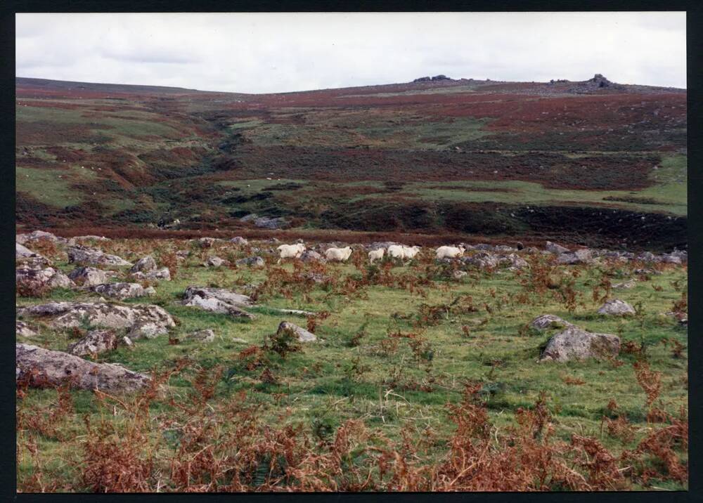 An image from the Dartmoor Trust Archive