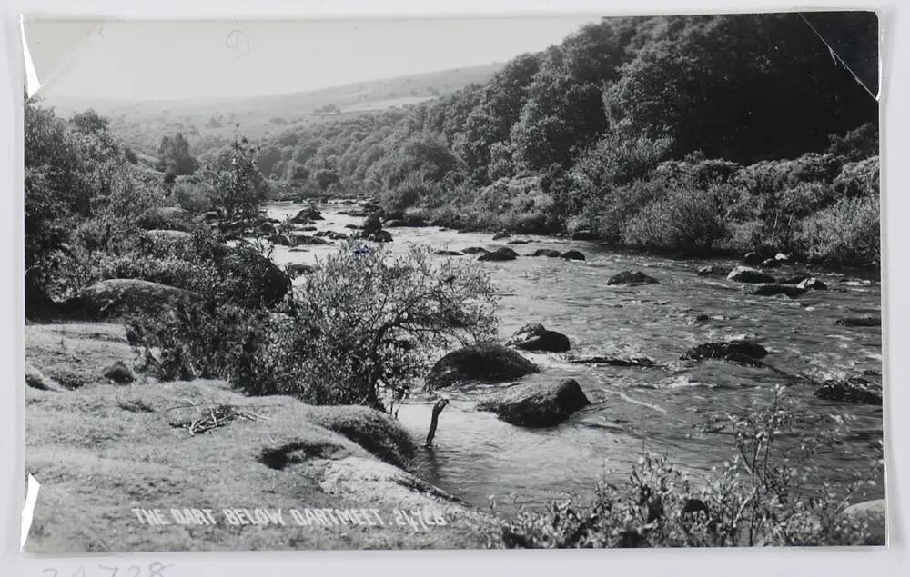 The Dart river.