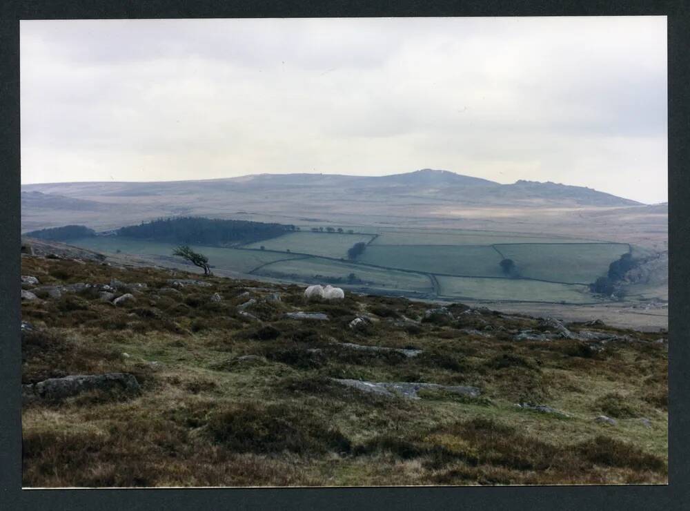 An image from the Dartmoor Trust Archive