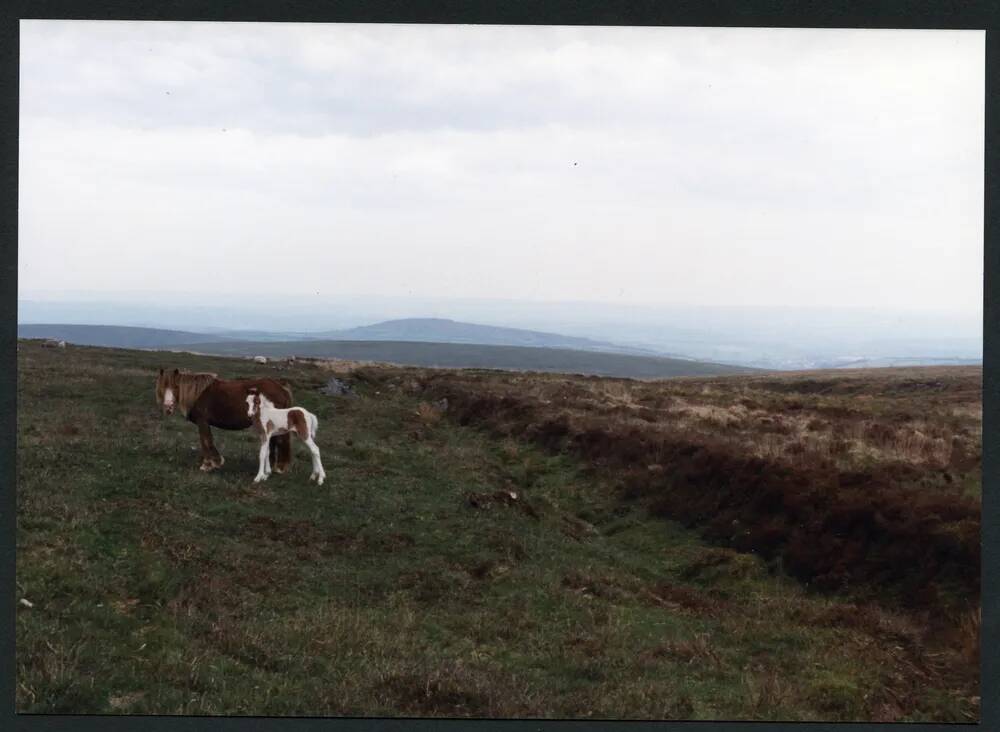 7/30 Zeal Tor tramway to Breat Hill 22/5/1991