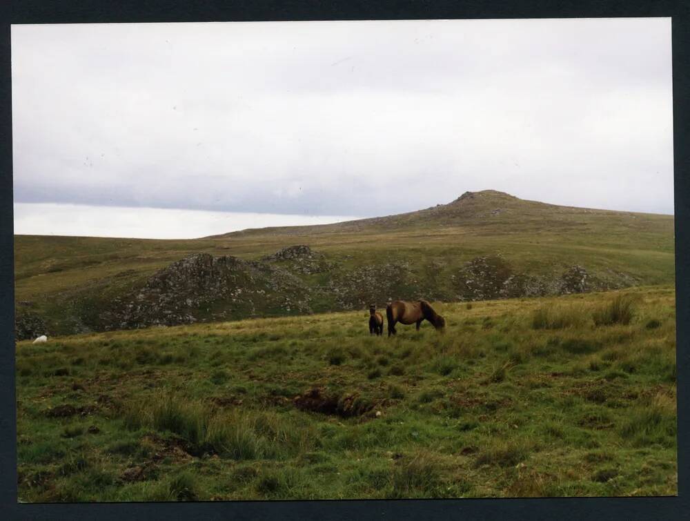 An image from the Dartmoor Trust Archive