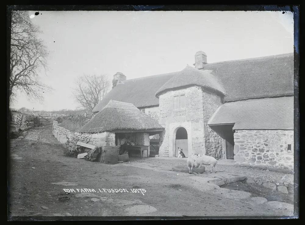 Leusdon: Tor Farm, Widecombe