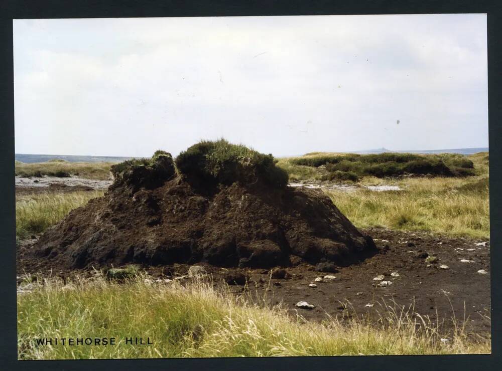 An image from the Dartmoor Trust Archive