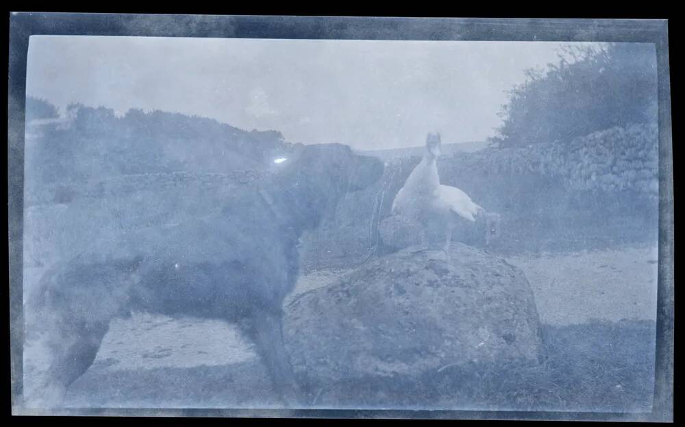 An image from the Dartmoor Trust Archive