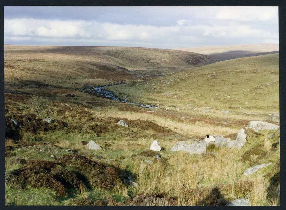 An image from the Dartmoor Trust Archive