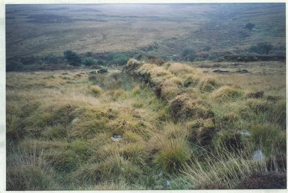 An image from the Dartmoor Trust Archive