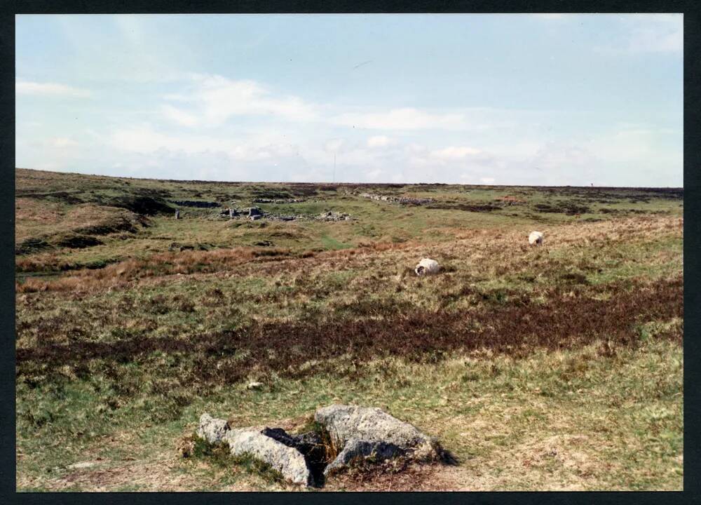 An image from the Dartmoor Trust Archive