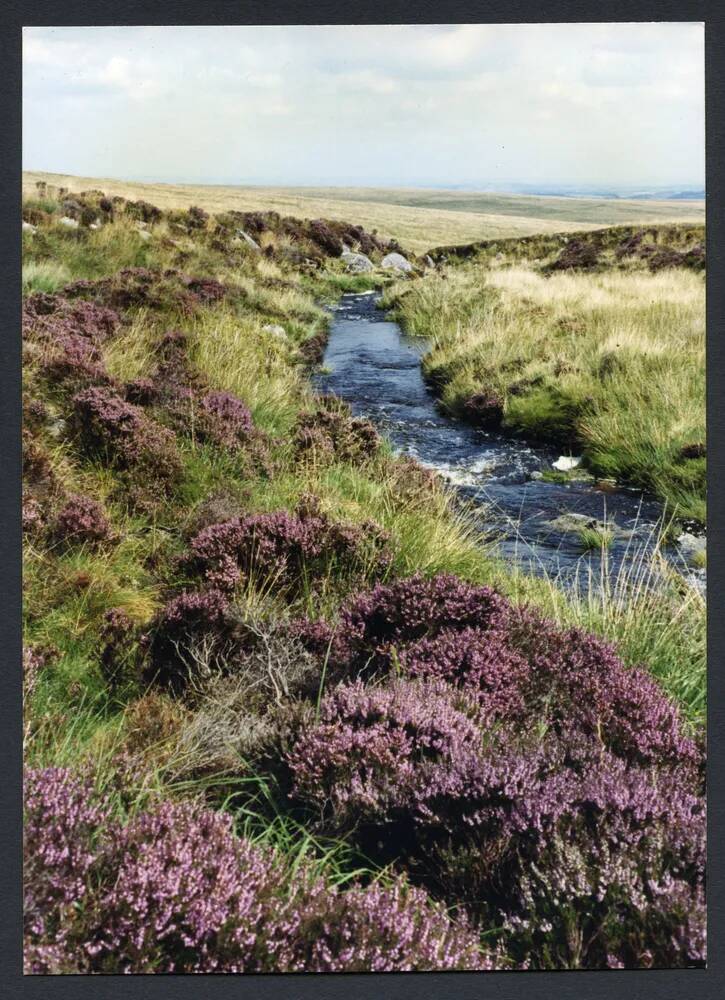 An image from the Dartmoor Trust Archive