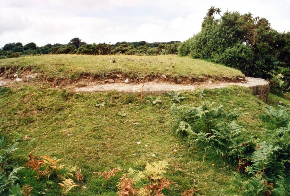 An image from the Dartmoor Trust Archive