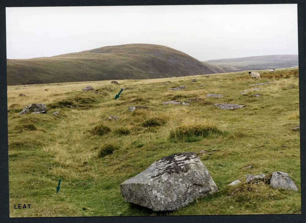 An image from the Dartmoor Trust Archive