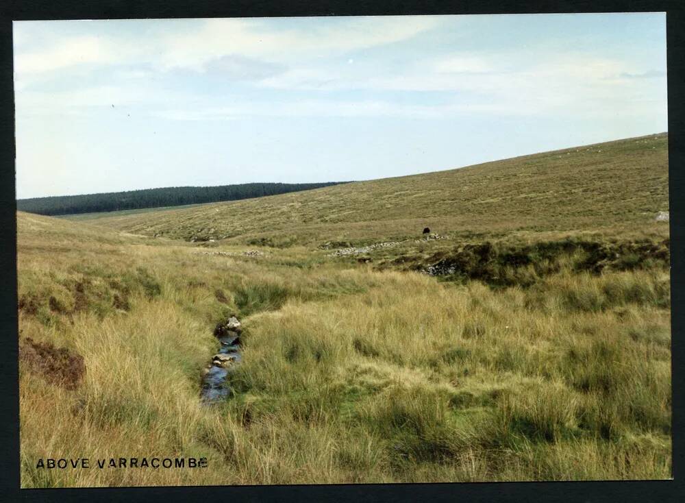 An image from the Dartmoor Trust Archive