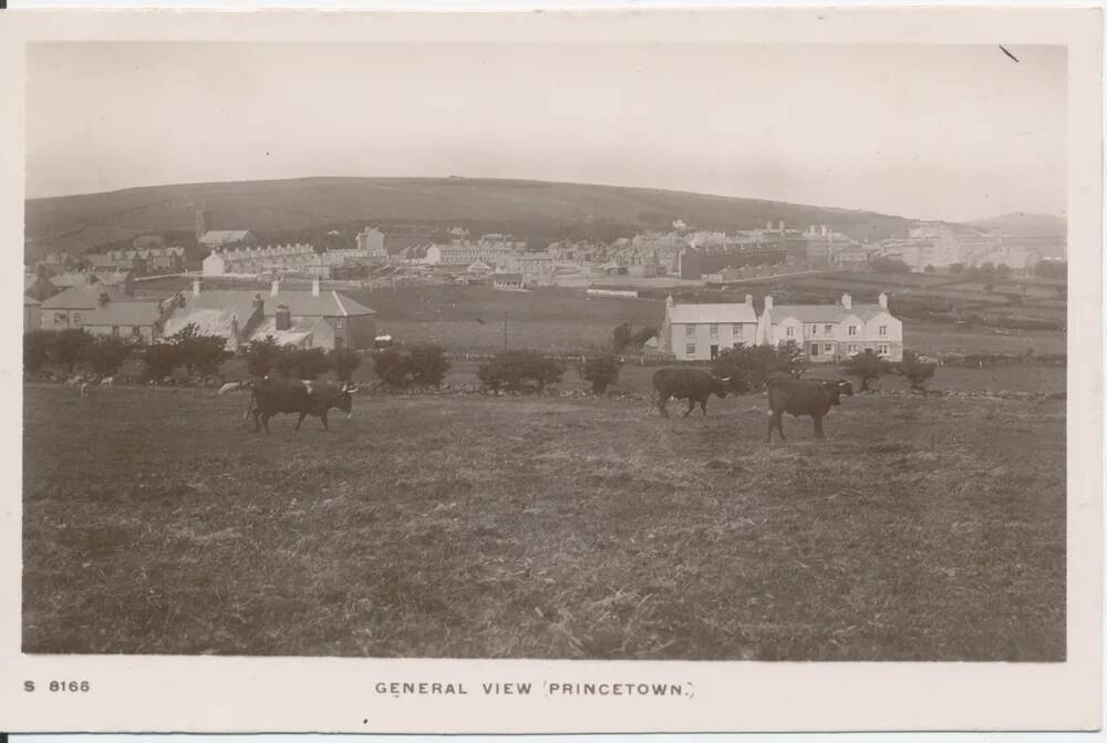 An image from the Dartmoor Trust Archive