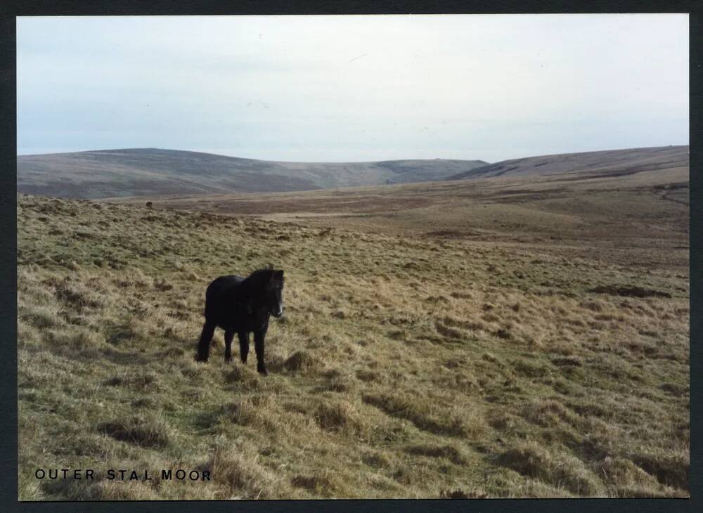 An image from the Dartmoor Trust Archive