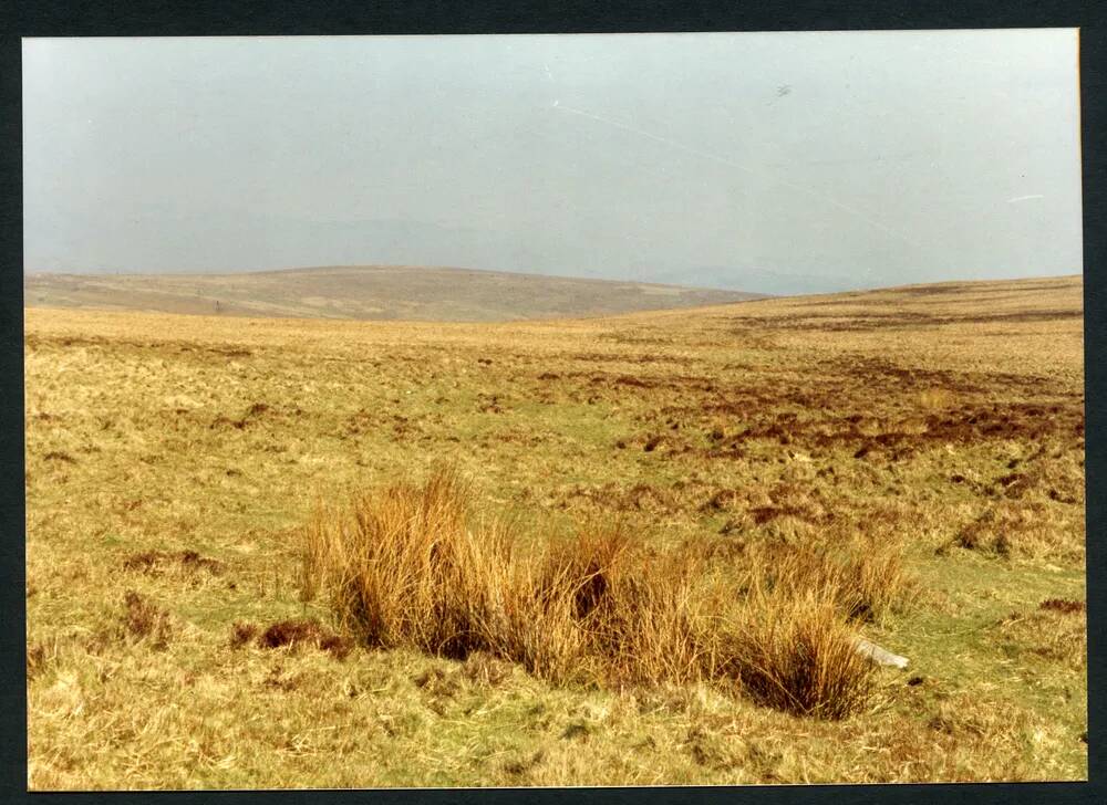 19/19 Above source of River Mardle 12/4/1991