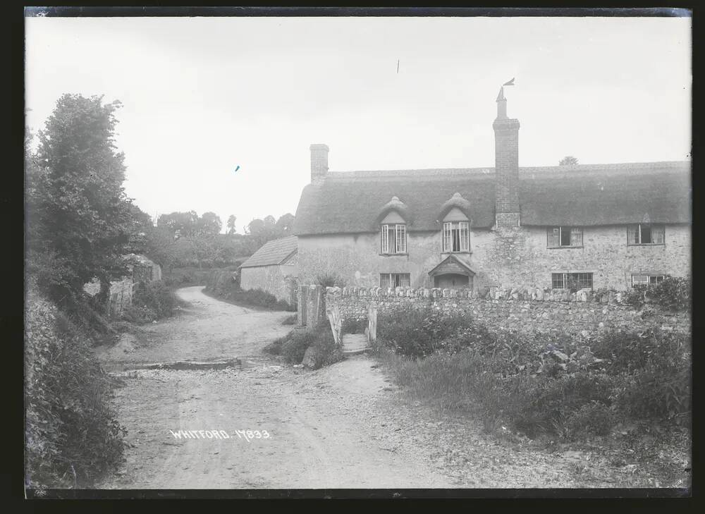 Whitford: thatched cottages, Shute