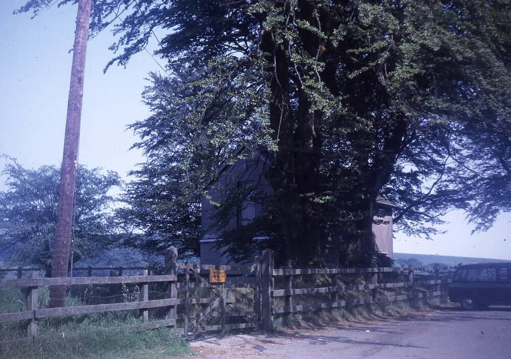 An image from the Dartmoor Trust Archive