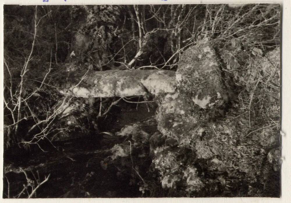 Stone clapper bridge near Langaford Bridge