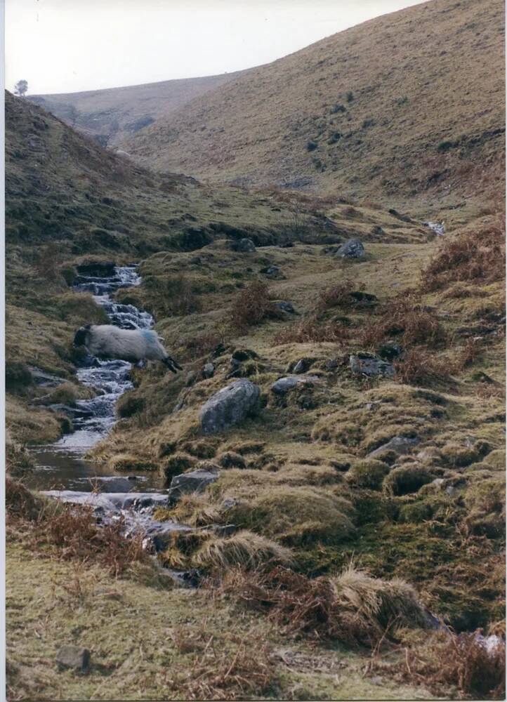 An image from the Dartmoor Trust Archive