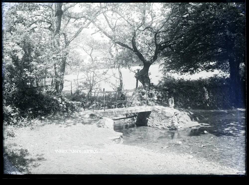 Footbridge in wood, Mary Tavy