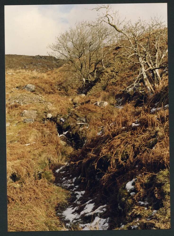 An image from the Dartmoor Trust Archive