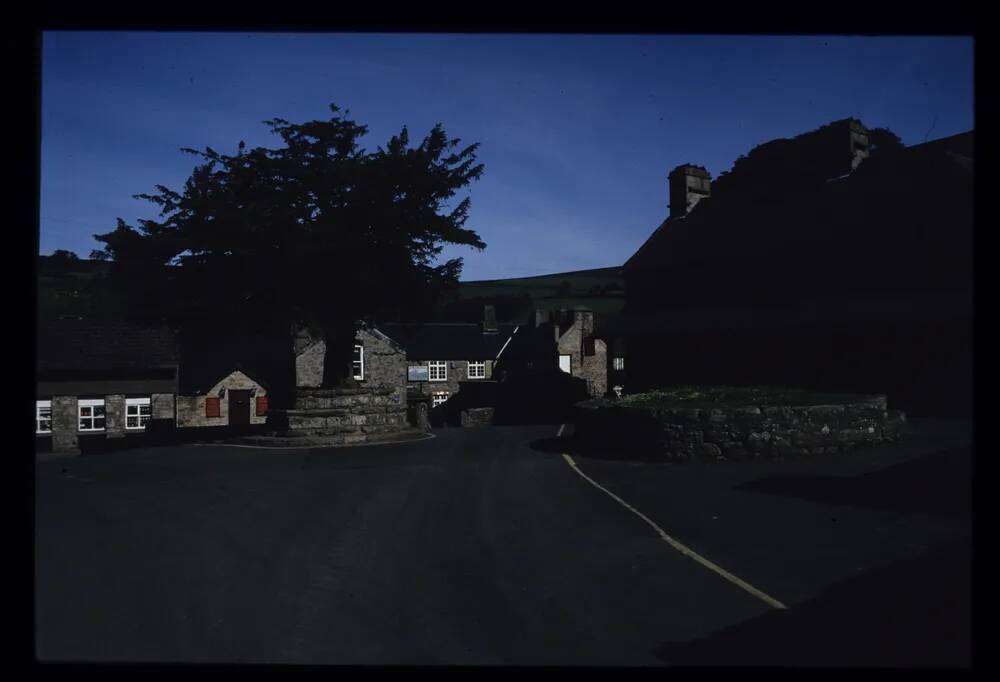 Widecombe Cross Tree