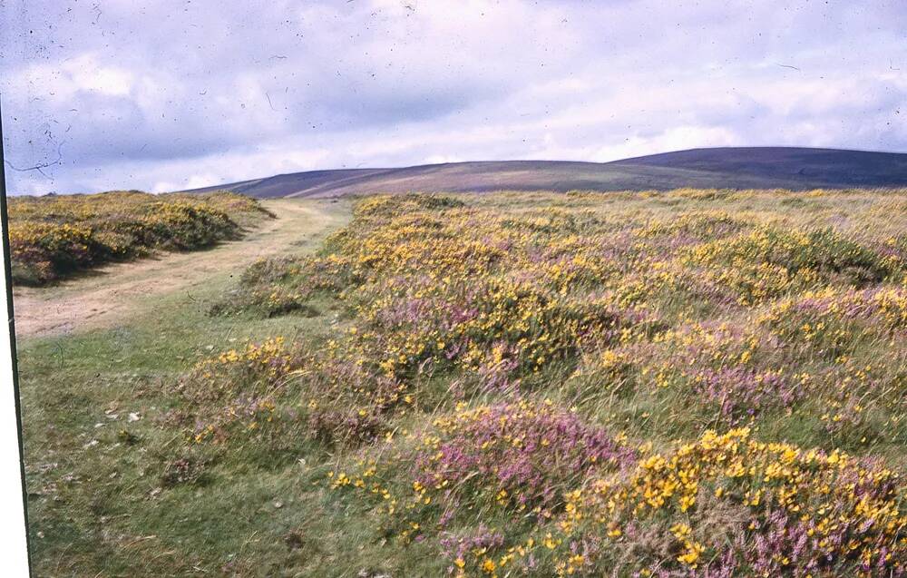 An image from the Dartmoor Trust Archive