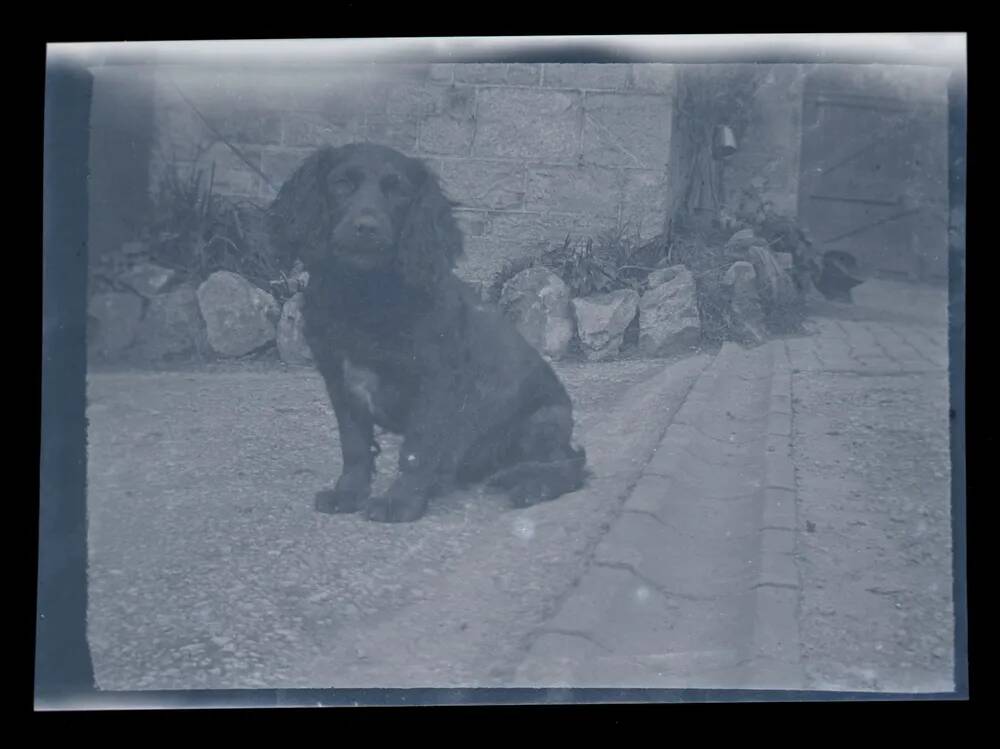 An image from the Dartmoor Trust Archive