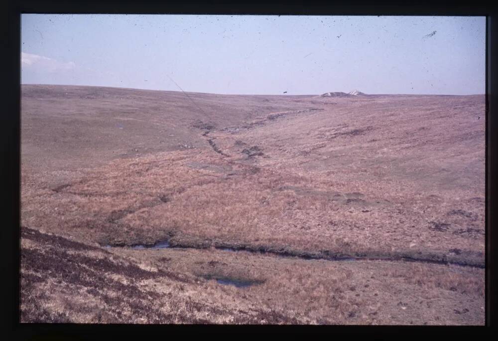 Red Lake Mire