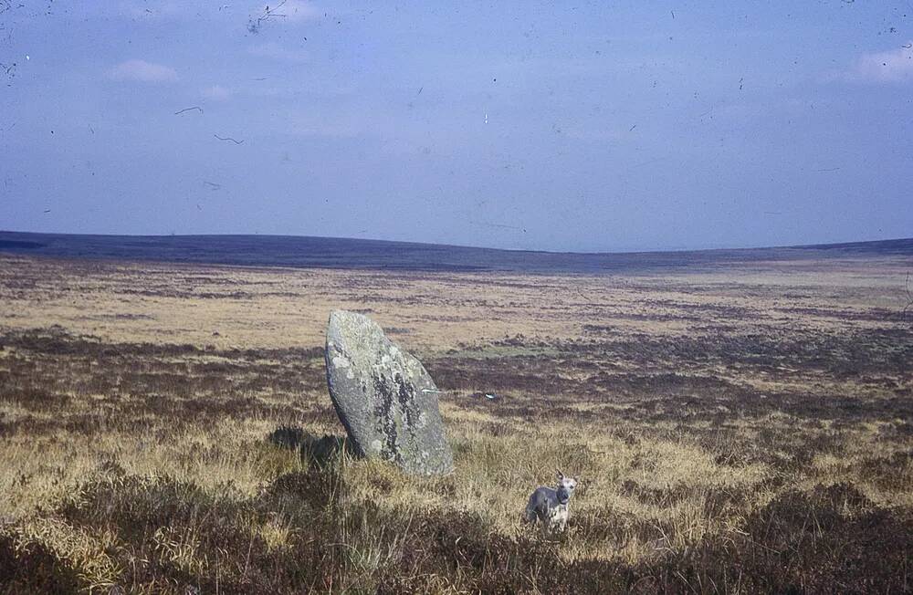 An image from the Dartmoor Trust Archive