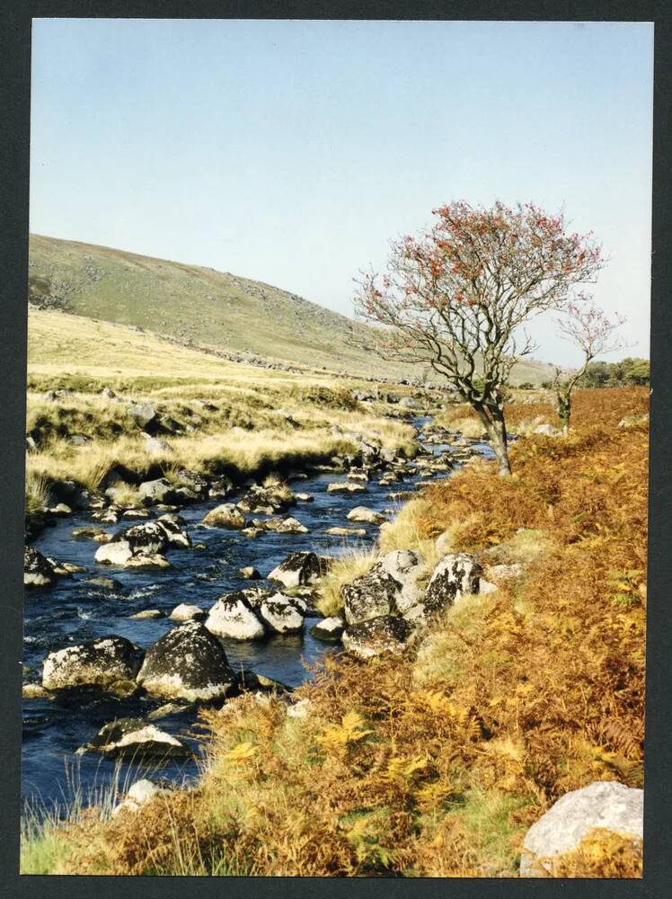 An image from the Dartmoor Trust Archive