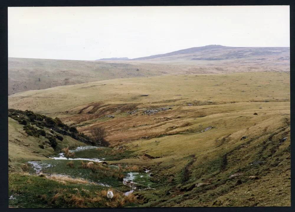 An image from the Dartmoor Trust Archive