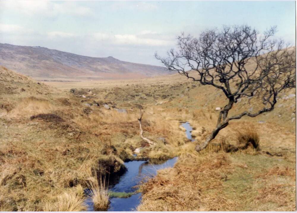 An image from the Dartmoor Trust Archive