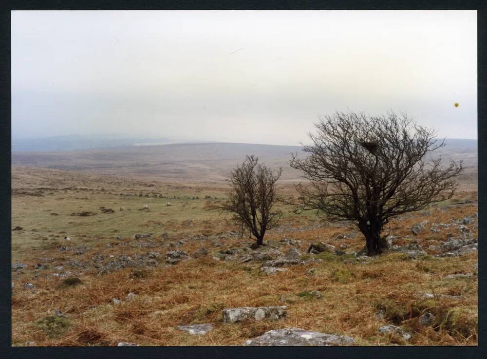 An image from the Dartmoor Trust Archive