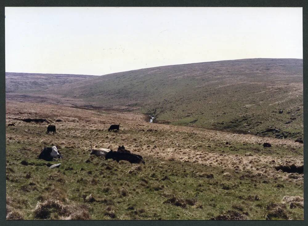 An image from the Dartmoor Trust Archive