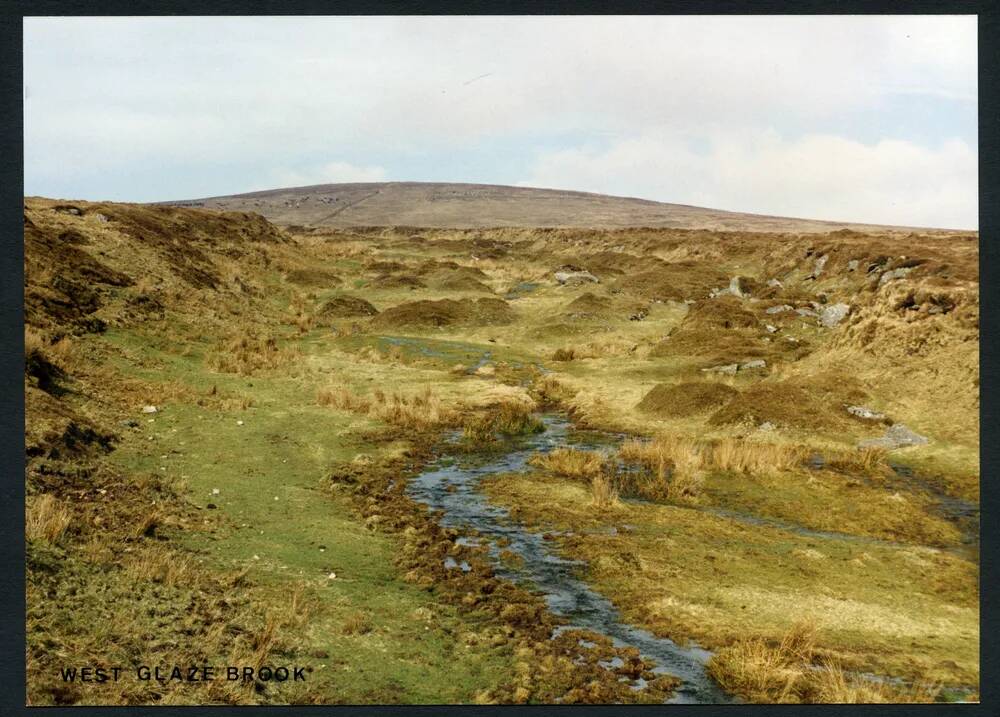 13/10 Near source of W. Glazebrook N to Three Burrows 7/3/1991