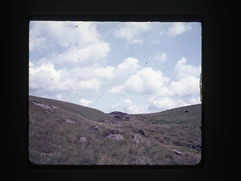 An image from the Dartmoor Trust Archive