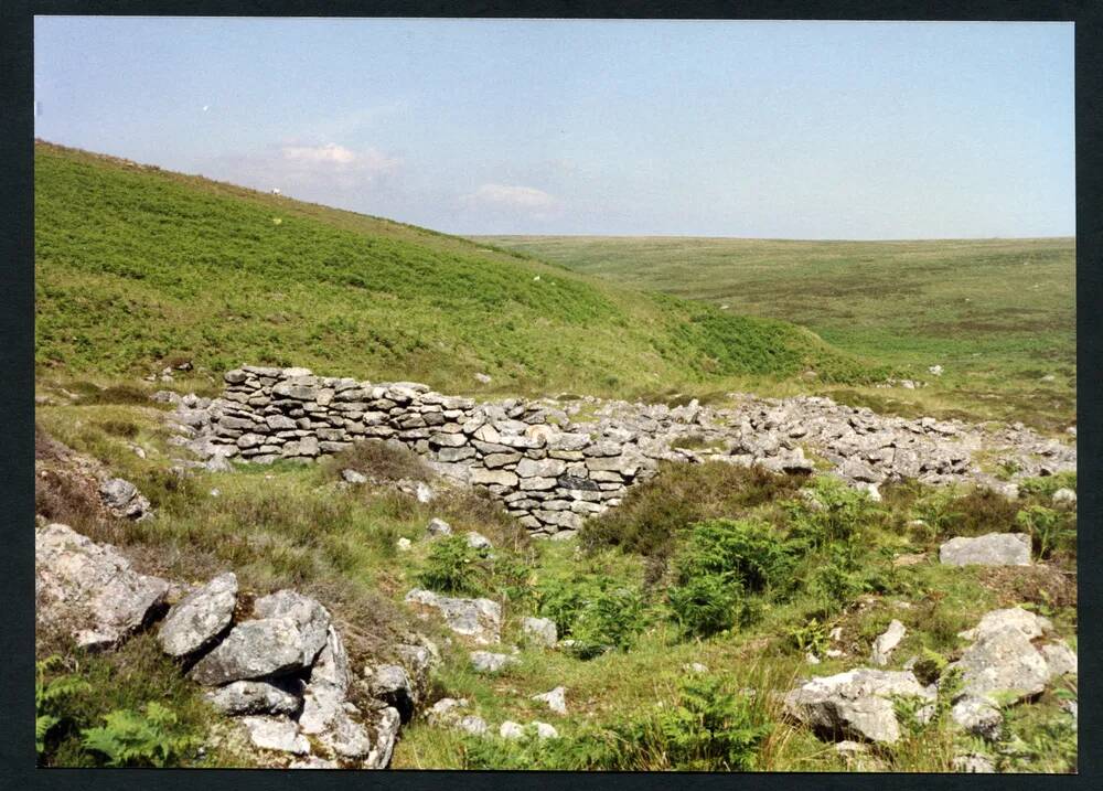 An image from the Dartmoor Trust Archive