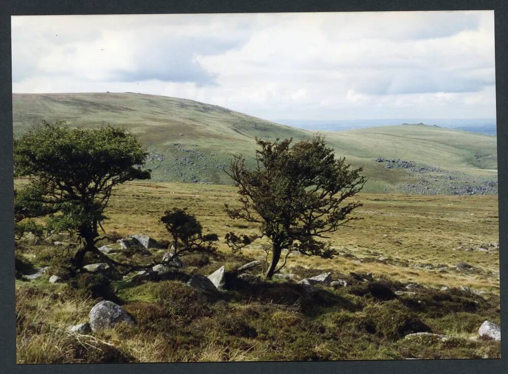 An image from the Dartmoor Trust Archive