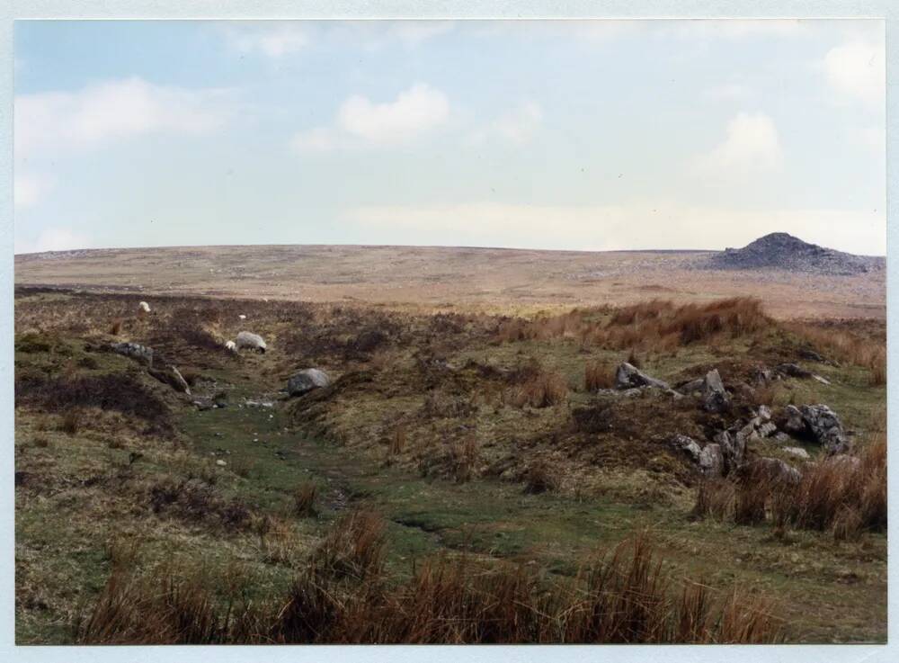 An image from the Dartmoor Trust Archive