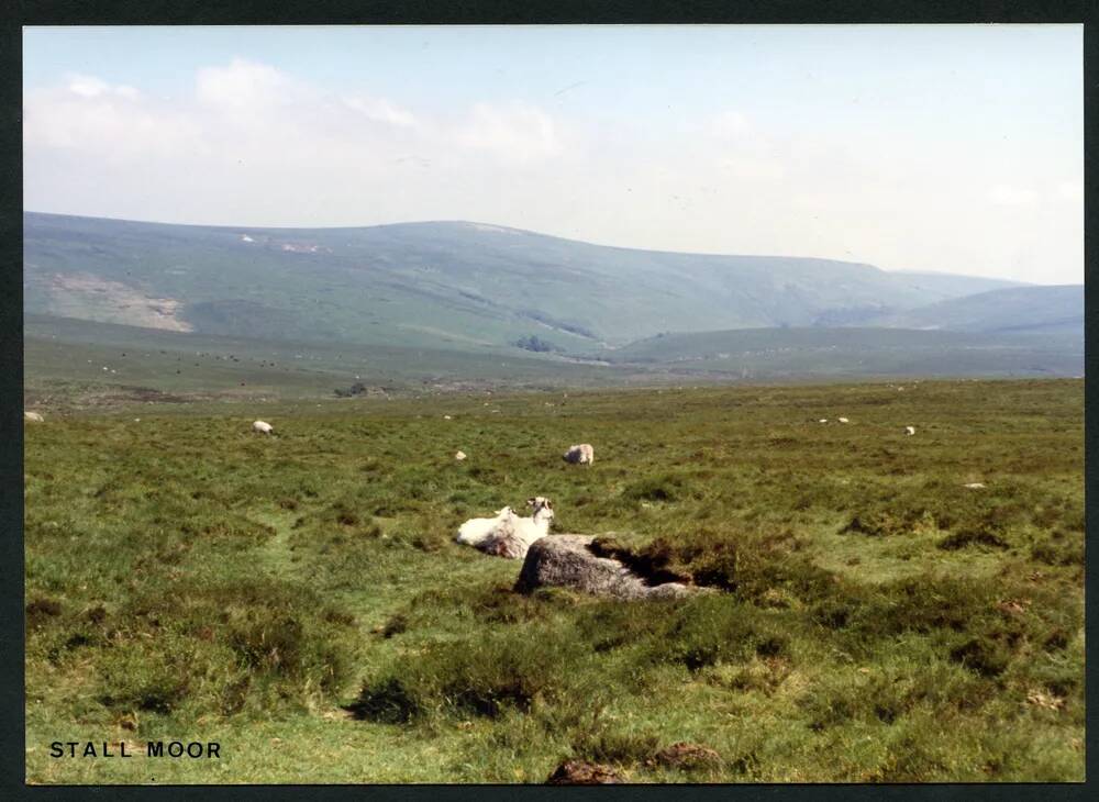 An image from the Dartmoor Trust Archive