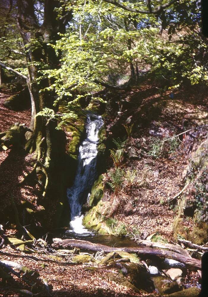 An image from the Dartmoor Trust Archive