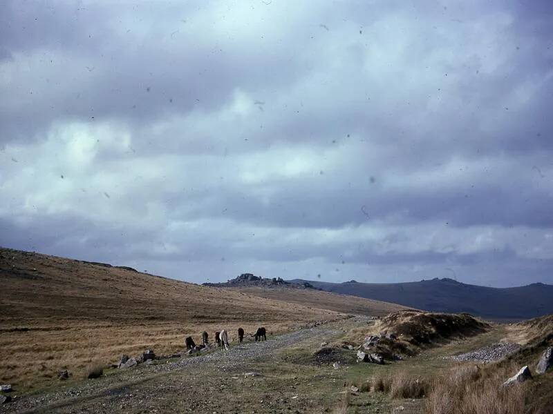 An image from the Dartmoor Trust Archive