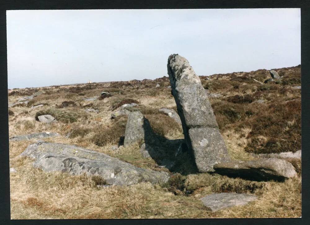 An image from the Dartmoor Trust Archive