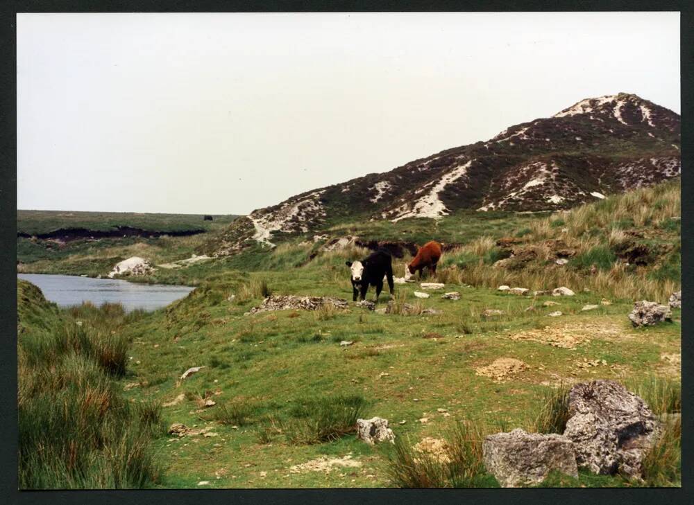 An image from the Dartmoor Trust Archive